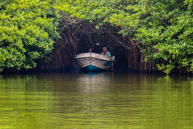 Heritage & Nature Odyssey to Ella to Mirissa Day 5 - Departure