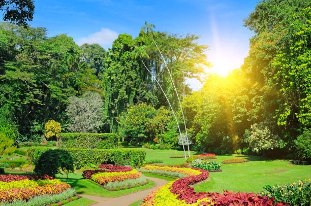 Peradeniya Botanical Garden