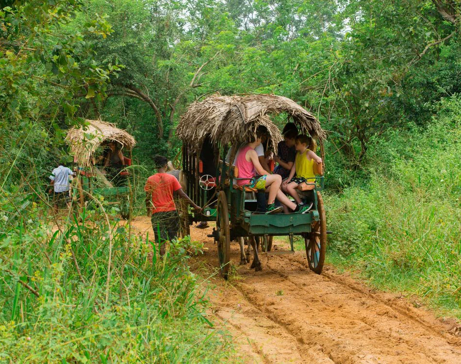 Sigiriya Village Tour