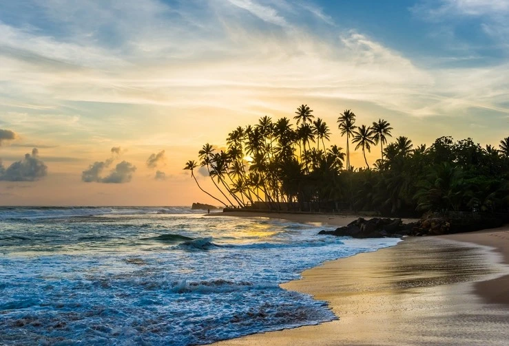 Tropical Beach Escape & Southern Adventures Tour Image