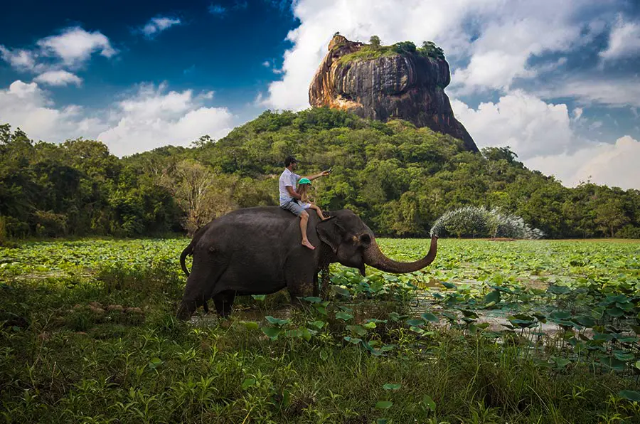 Scenic Trails & Wildlife Safari Expedition Tour Image